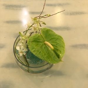 Meet your Posher, Mei